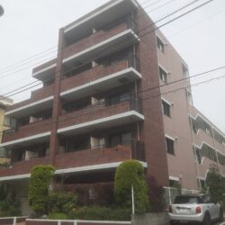 駅近3分！床板・キッチン壁紙 新品！